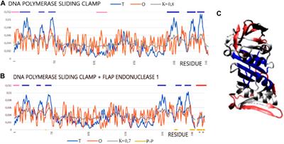 Engagement of intrinsic disordered proteins in protein–protein interaction